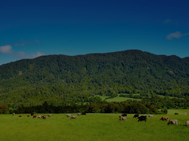 Animal Health and Nutrition