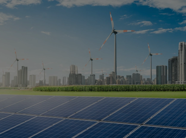 Environment and Sustainability